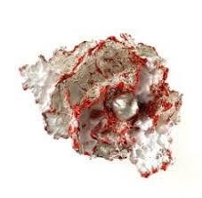 FOTO 17: Broche con perla al centro 